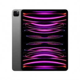Apple iPad Pro 12.9 pouces...